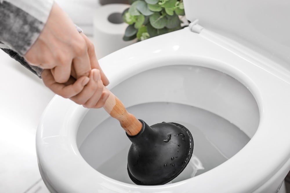 Mountlake Terrace toilet flapper repairs in WA near 98043